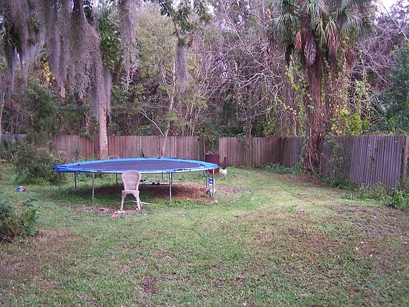 Back of Yard 