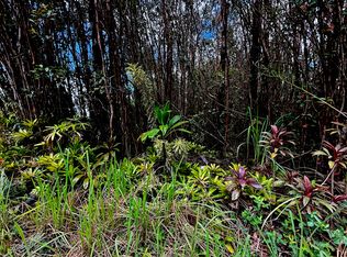Road 1 Uhini Ana Lot 2582, Mountain View, HI 96771