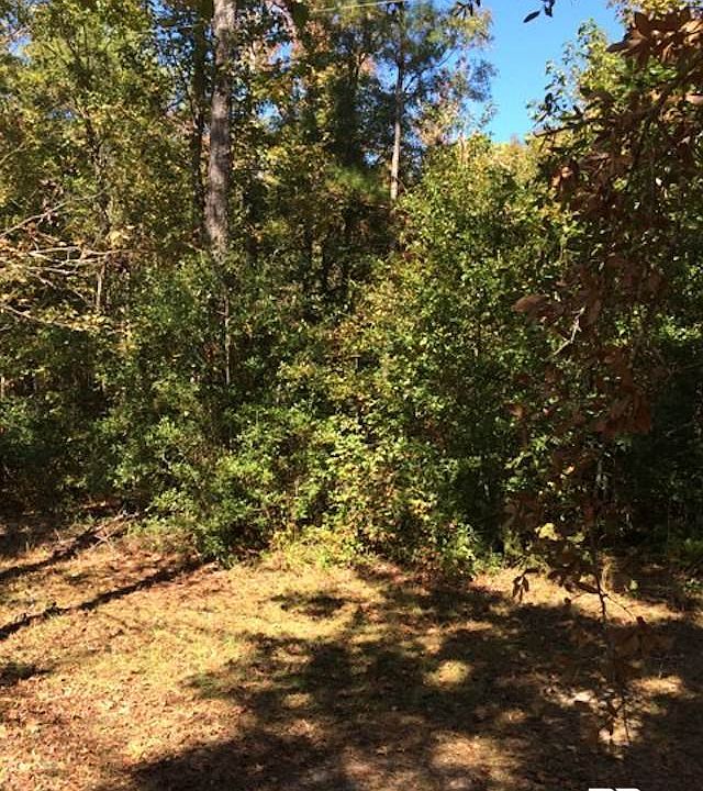 1st image of 6343 Skunk Ln