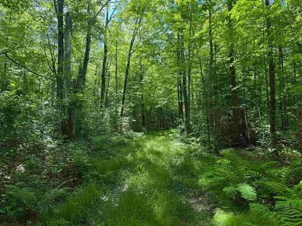 0 Wonder Rd, Phillips, WI 54555