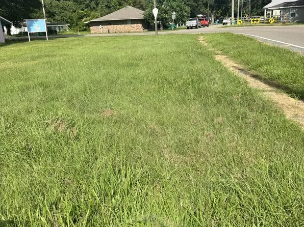 0 Palestine Rd, Picayune, MS 39466