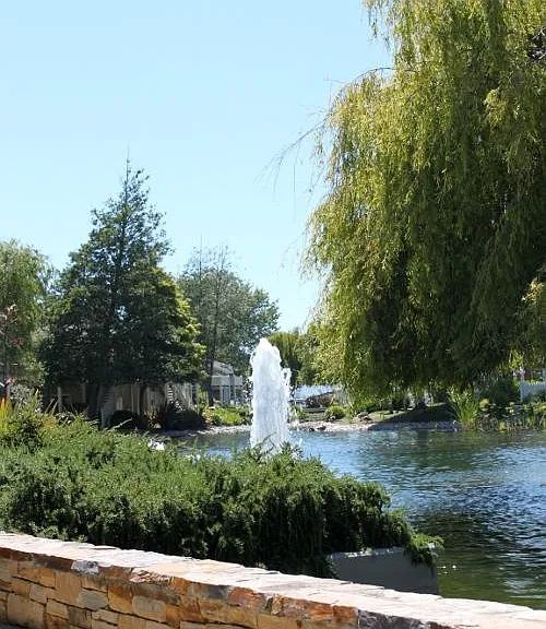 34 Shoreline Ct — Photo 4