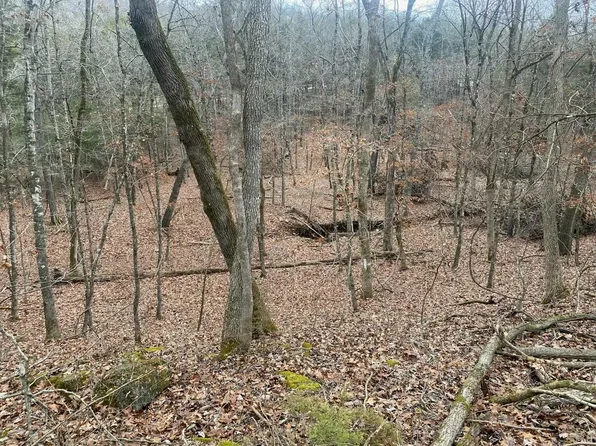 Tbd Rockbrook Road, Branson West, MO 65737