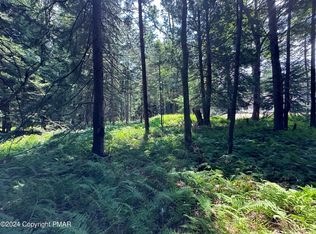 1127 Sawmill Rd #1127, Pocono Lake, PA 18347