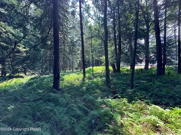 1127 Sawmill Rd #1127, Pocono Lake, PA 18347