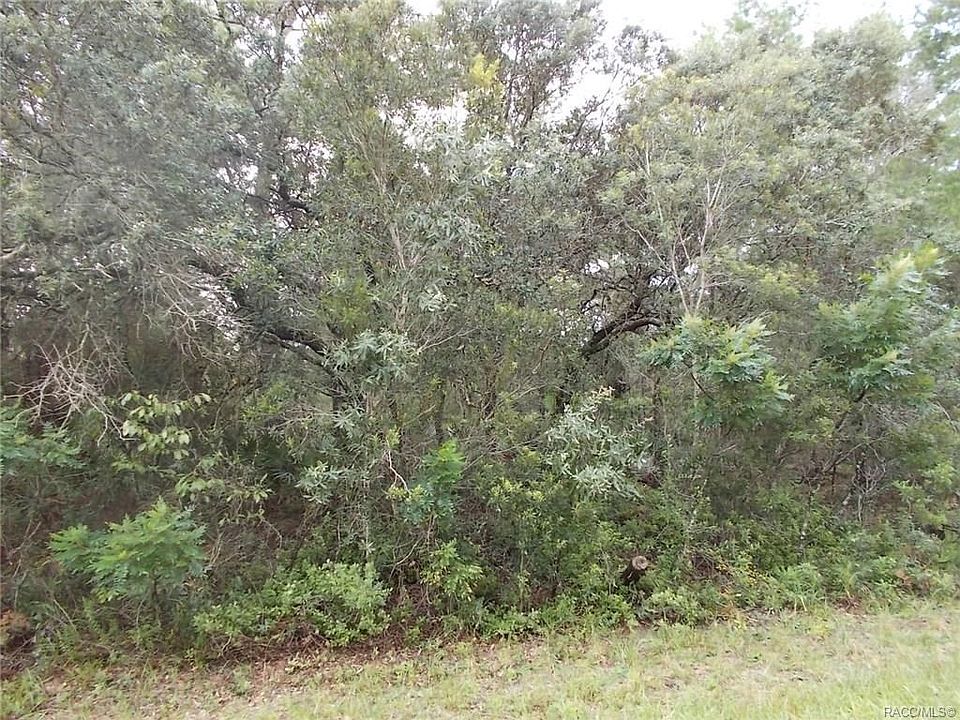 1st image of 2064 W Beach Plum Dr