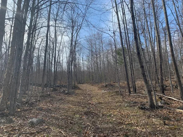 TBD Canton Road, Livermore, ME 04253