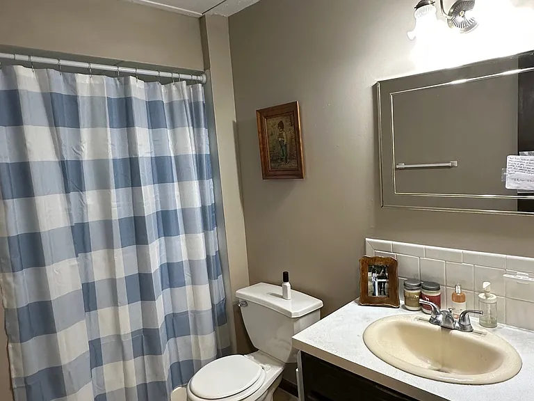 The lower-level bathroom conveniently serves both the family room and nearby bedroom, making the space ideal for guests or extended living arrangements. The shower curtain has been kept closed to respect the current tenant's privacy.