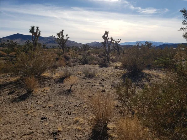 20576 N Golden Arrow Ave, White Hills, AZ 86445