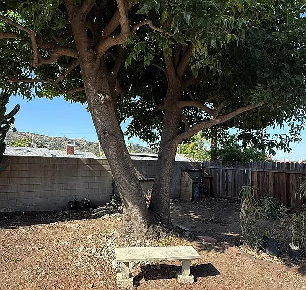 1002 E Walnut Ave — Photo 27