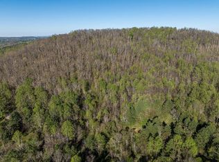 Danville Pike SW, Meadows Of Dan, VA 24120