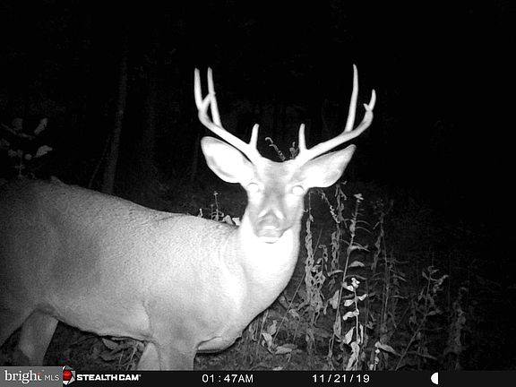 4th image of Hunters Rd