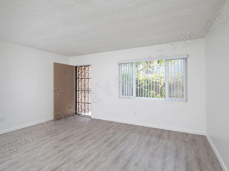 1128 Felspar Street — Photo 3