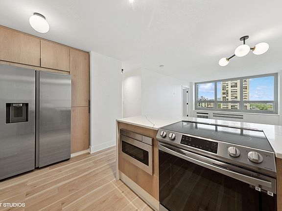 5th image of 88 W Schiller St APT 1403L