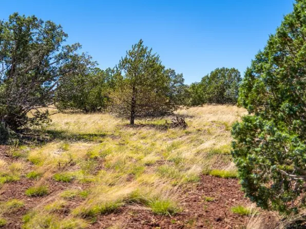 3841 N Mark Pl, Williams, AZ 86046