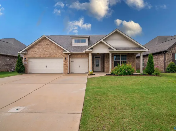 163 Willow Bank Cir, Decatur, AL 35603