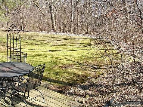 MLS_2 View from patio & deck.JPG