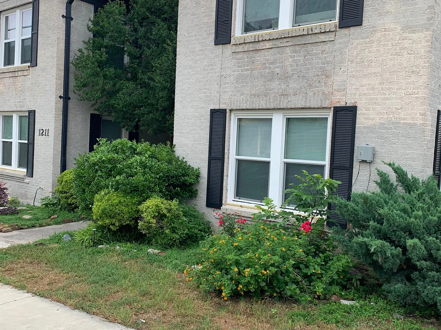 1 bed, 700 sqft, $1,200 — Photo 2
