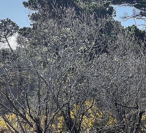 2nd image of 0 18th St SW