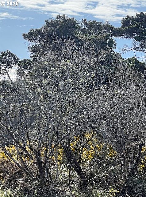 2nd image of 0 18th St SW