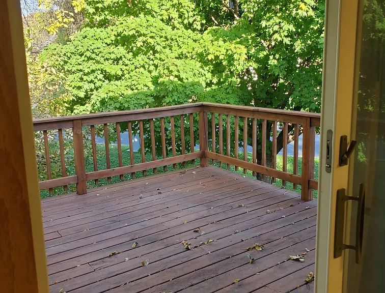 2117 Fern Ln — Photo 14