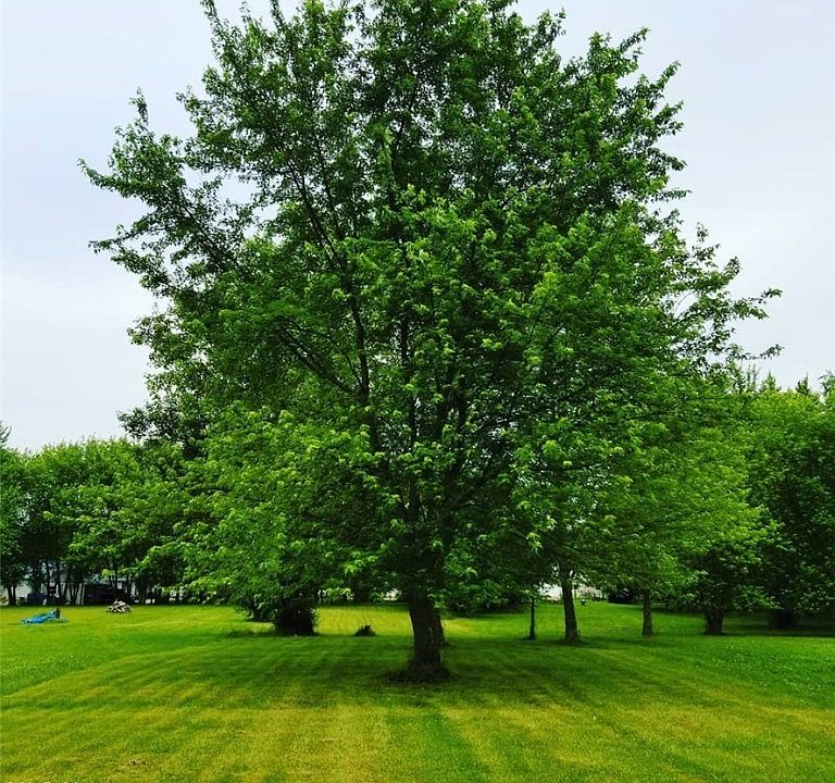 2nd image of N Carpenter Rd