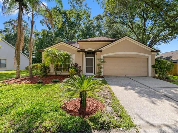 4552 Steel Dust Ln, Lutz, FL 33559