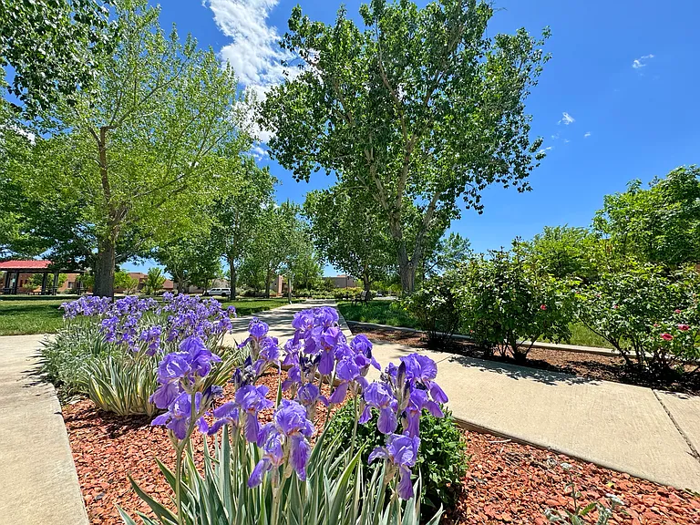 2 Wood Flower Pl — Photo 17