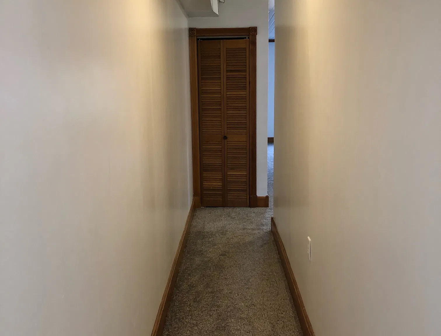 1 bed, 900 sqft, $895 — Photo 4