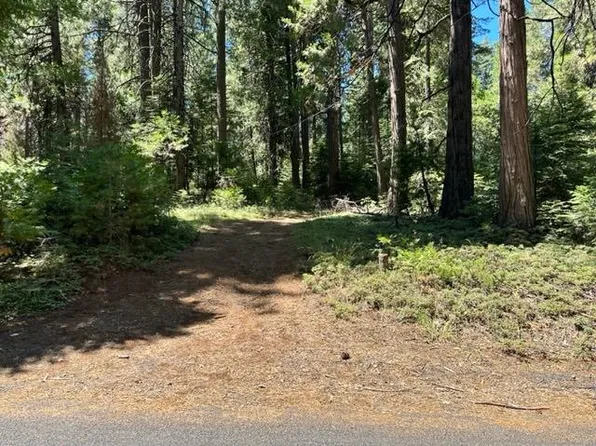 21179 Sierra Circle Dr, Pioneer, CA 95666