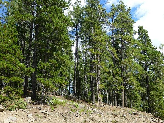 5th image of 000 Lodgepole Drive
