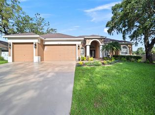 10101 Paddock Oaks Dr, Riverview, FL 33569