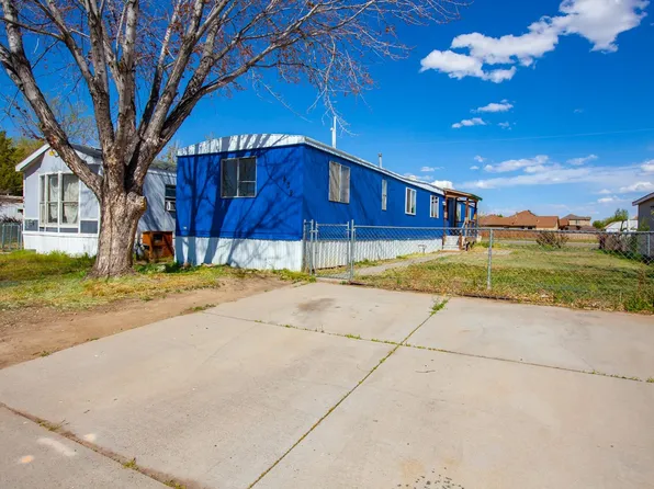 432 Pisces Cir, Fruita, CO 81521