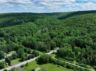 6383 Omphalius Rd Lot 28, Colden, NY 14033