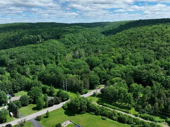 6383 Omphalius Rd Lot 28, Colden, NY 14033