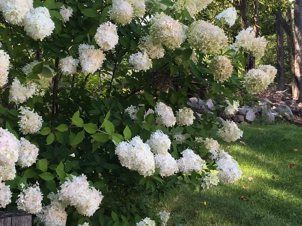 17 Orchards Rd, Wolfeboro, NH 03894