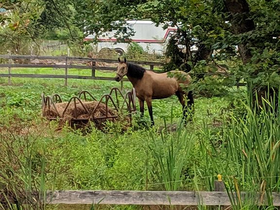 View from the back deck