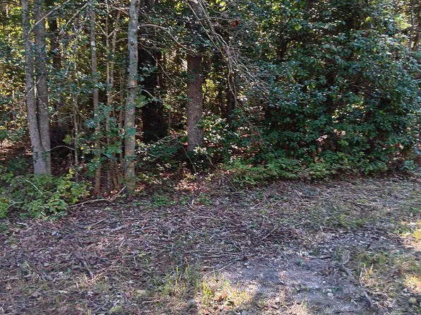 Pine St, Colonial Beach, VA 22443