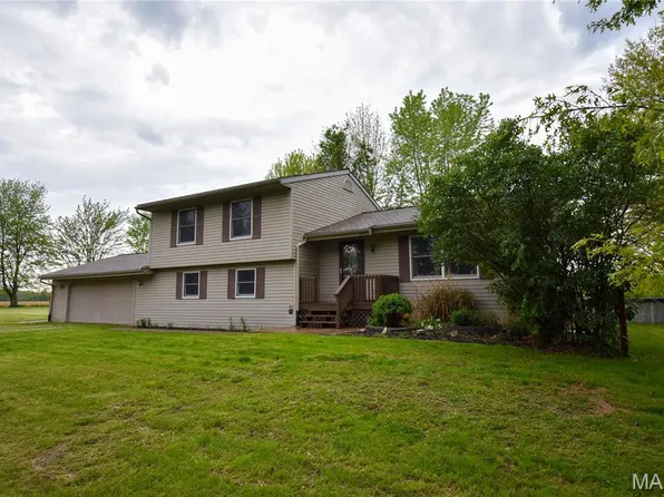 8817 Rezy Rd, Staunton, IL 62088