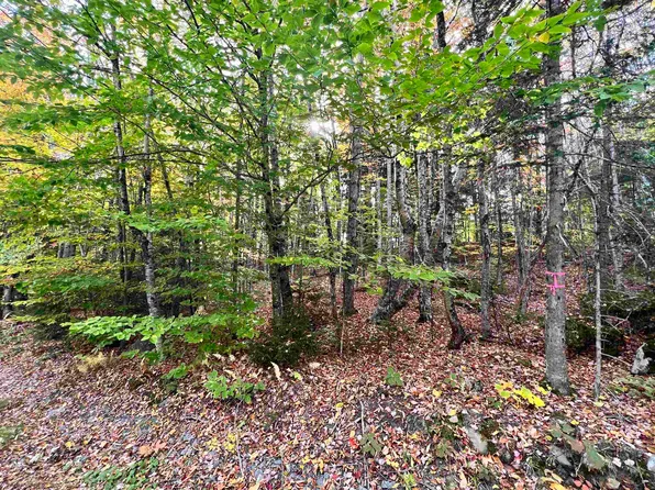 99 Greensward Drive, Grantham, NH 03753