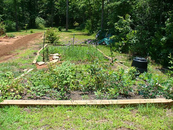 garden and berry patch spot