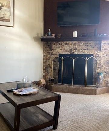 Living room with fireplace