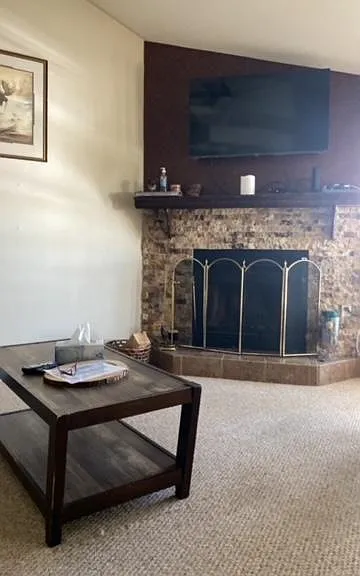 Living room with fireplace
