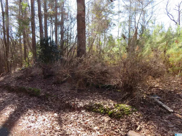 Woodland Dr #29-30-31, Mc Calla, AL 35111