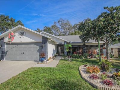 1873 Maplewood Ct, Palm Harbor, FL, 34684