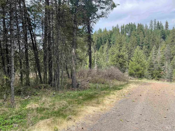 Nka Camps Canyon Rd, Troy, ID 83871
