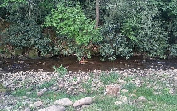trout stream in the backyard