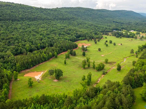 7805B Owls Hollow Rd, Gadsden, AL 35901