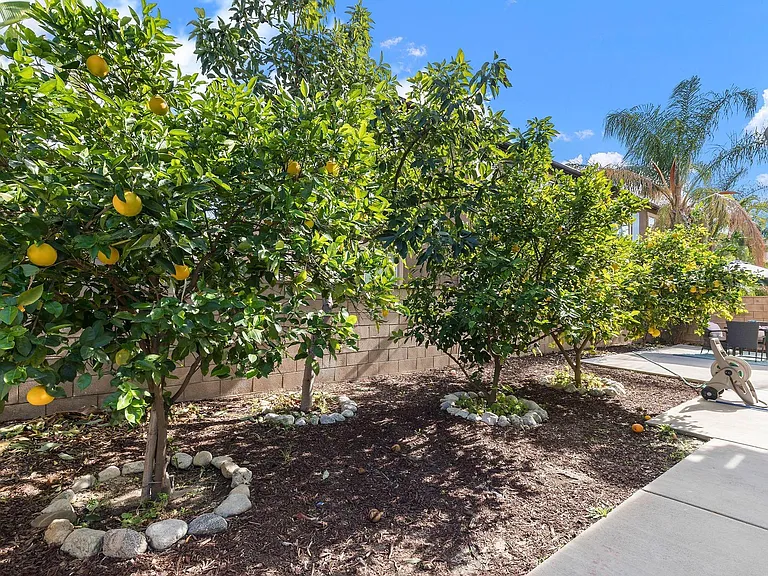 7597 Freestone Ct — Photo 35