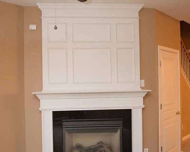 Gas-fed fireplace